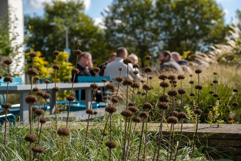 Groenwerk en duurzame werklandschappen in de tuin.