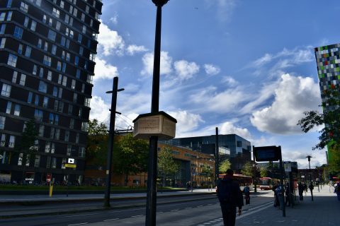 Innovatie Bijenhotel als wetenschappelijke indicator - The Green Village TU Delft