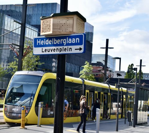 Innovatie Bijenhotel als wetenschappelijke indicator - The Green Village TU Delft