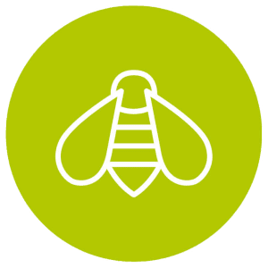 Bijen icoon met groene achtergrond, symboliseert duurzame werklandschappen en biodiversiteit.