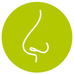 Innovatieve werklandschappen van de toekomst voor duurzame werkplekken.