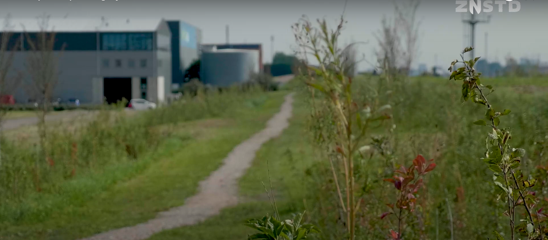Innovatie Adoptiegroen - HoogTij