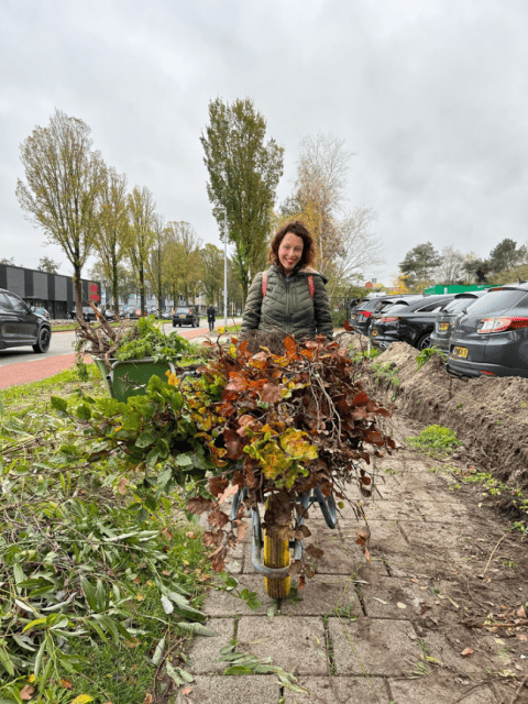 Beverkoog - Innovatie hagen voor hekken