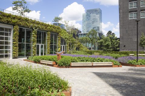 Innovatie Circulaire Daktuin - Circl Amsterdam Zuid As