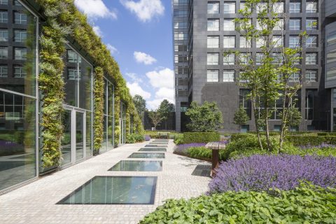 Innovatie Circulaire Daktuin - Circl Amsterdam Zuid As