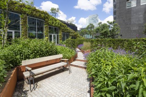 Innovatie Circulaire Daktuin - Circl Amsterdam Zuid As