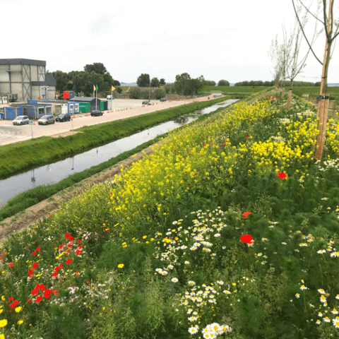 Levende natuurdijk innovatie Farm Frites