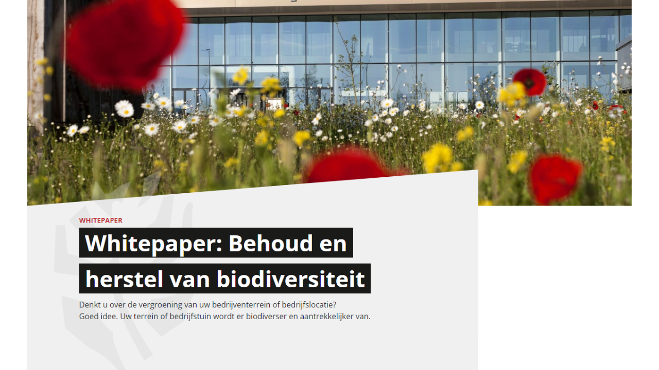 Whitepaper: Behoud en herstel van biodiversiteit