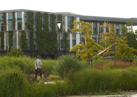 Park 2020 - Innovatie buitenwerkplekken