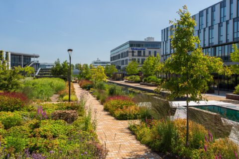Park 2020 - Innovatie buitenwerkplekken