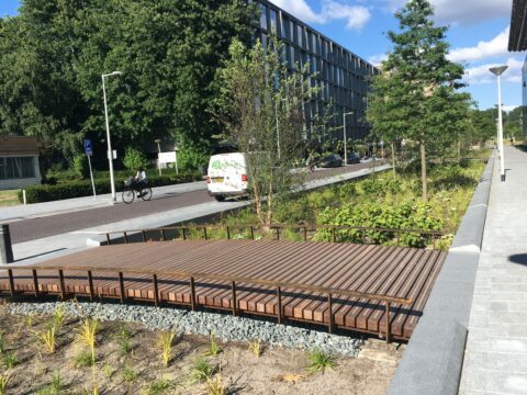 Rainproof met groene gracht Prinses Irenestraat Amsterdam Zuidas