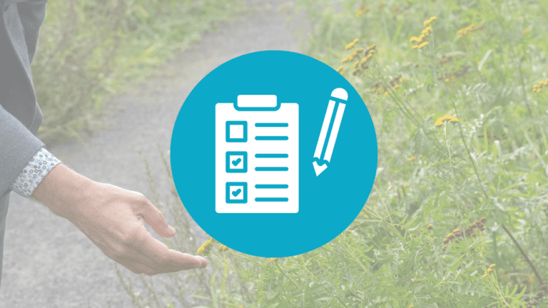 Eco vriendelijke werklandschappen en duurzame toekomstvisies.