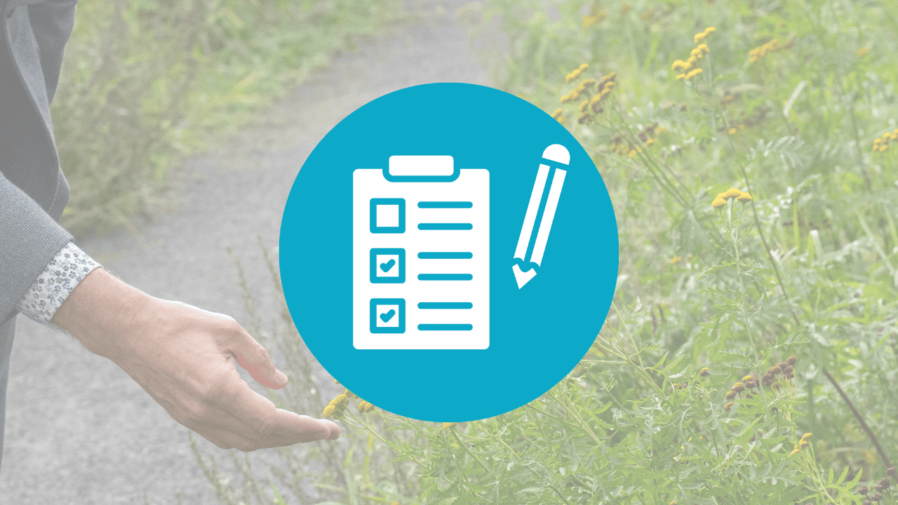 Eco vriendelijke werklandschappen en duurzame toekomstvisies.