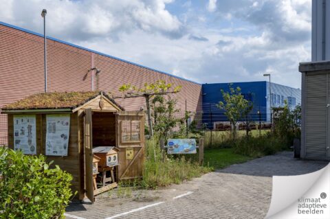 Innovatie Boomgaard voor mens en dier Thomas Klomp