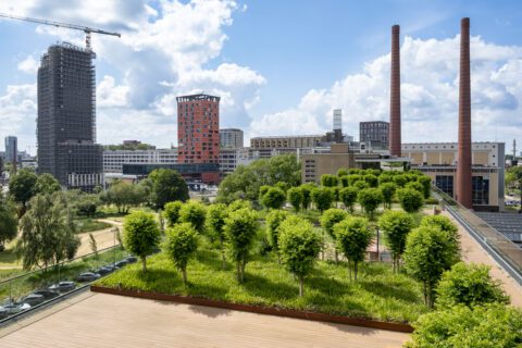 Innovatiedatabase rooftoplocatie gastheer voor het hele gebied