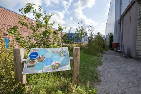 Innovatie Boomgaard voor mens en dier Thomas Klomp