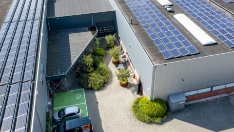 Innovatie Boomgaard voor mens en dier Thomas Klomp