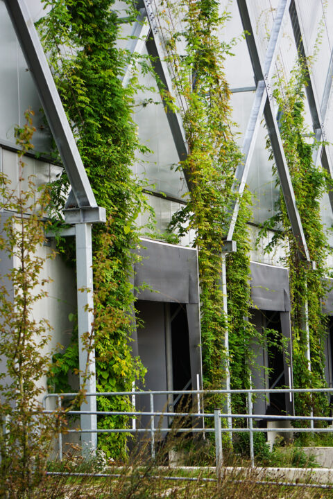 Innovatie Natuurinclusieve docks