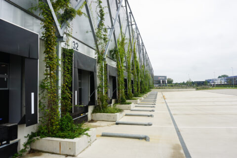 Innovatie Natuurinclusieve docks