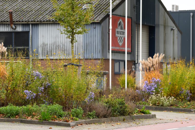 Duurzame werklandschappen met kleurrijke planten en groenaanleg.