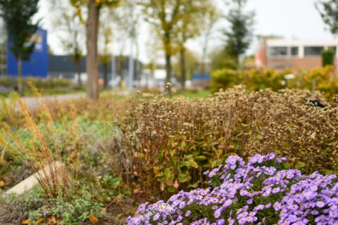 Werklandschappen van de Toekomst Beverkoog Alkmaar