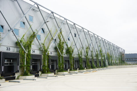 Innovatie Natuurinclusieve docks