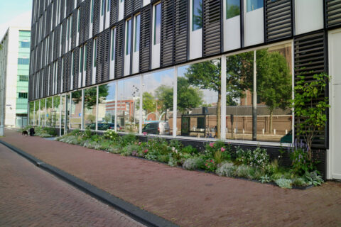Innovatie Megagevelborder boost voor biodiversiteit en verhuur