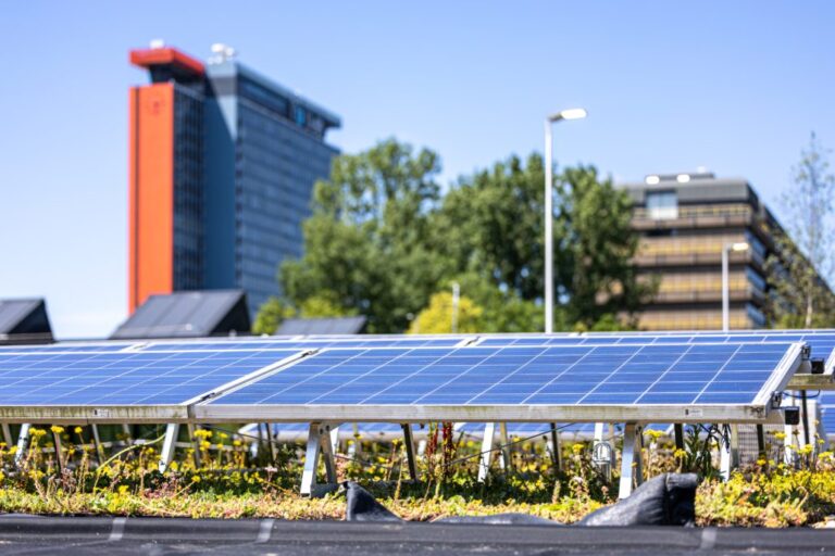 Zonnepanelen op een groene daktuin in stedelijk landschap.