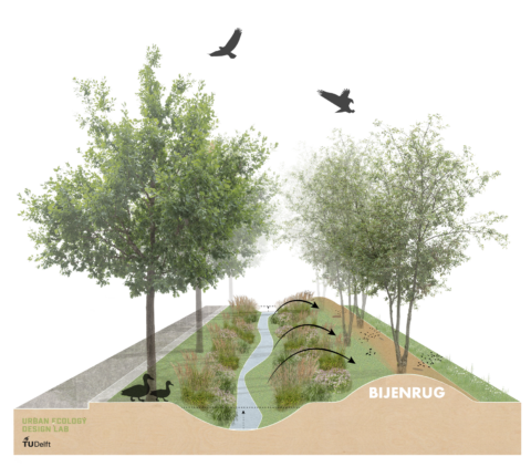 Innovatie Bijenrug als eenvoudige verbinding natuurlijke omgeving