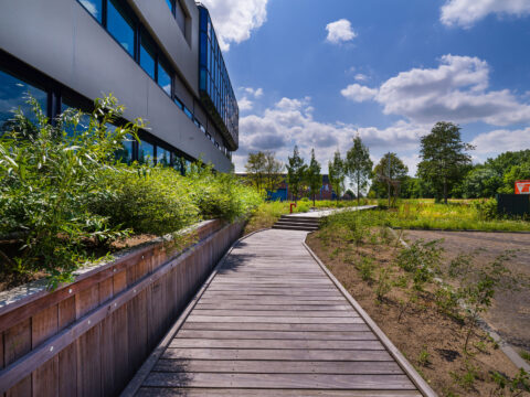 Innovatie Waterzuivering, wandelcomfort en biodiversiteitboost Zwijndrecht