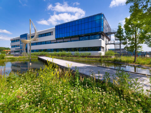 Innovatie Waterzuivering, wandelcomfort en biodiversiteitboost Zwijndrecht