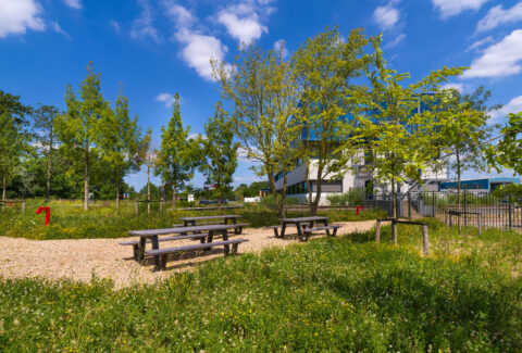 Innovatie Waterzuivering, wandelcomfort en biodiversiteitboost Zwijndrecht