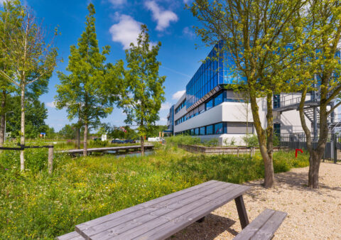 Innovatie Waterzuivering, wandelcomfort en biodiversiteitboost Zwijndrecht