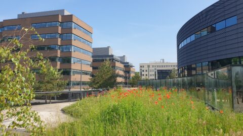 Innovatie Belang biodiversiteit voor beleggers