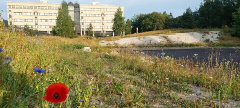 Innovatie Belang biodiversiteit voor beleggers