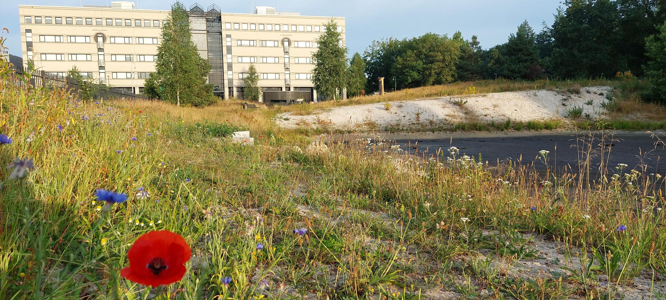 Innovatie Belang biodiversiteit voor beleggers