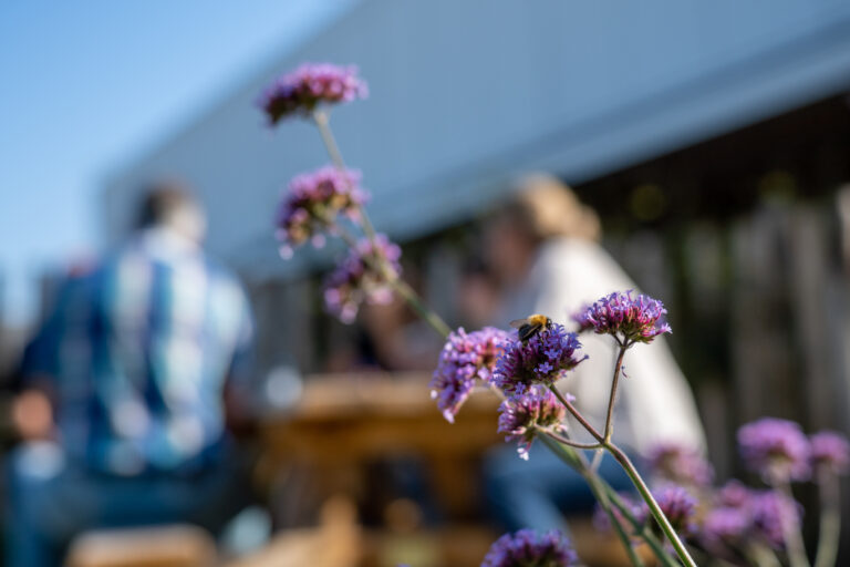 Bijen op lavendel voor een duurzame werklandschap van de toekomst.