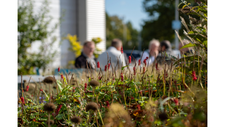 Innovatieve werklandschappen van de toekomst met groene kantooromgevingen en duurzame werkplekken.