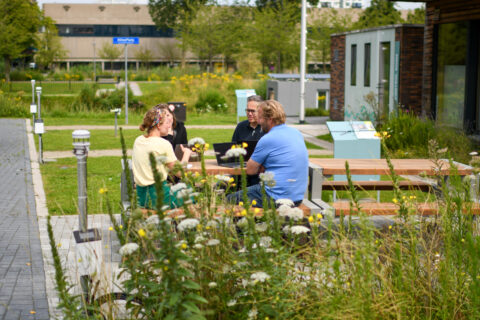 Mensen zitten op een groen bedrijventerrein aan een picknicktafel