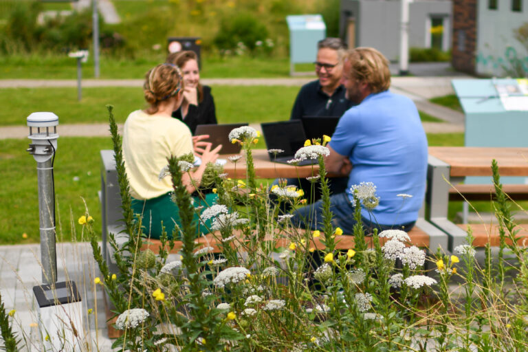 Meerdere mensen zitten aan een picknicktafel