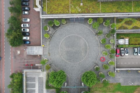 Innovatie Verplaatsbaar bos op dak en plein