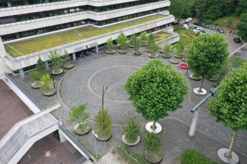 Innovatie Verplaatsbaar bos op dak en plein