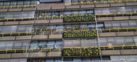 Innovatie Onderzoeksgevel verschillende groensystemen als zonwering