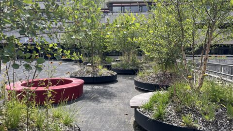 Innovatie Verplaatsbaar bos op dak en plein