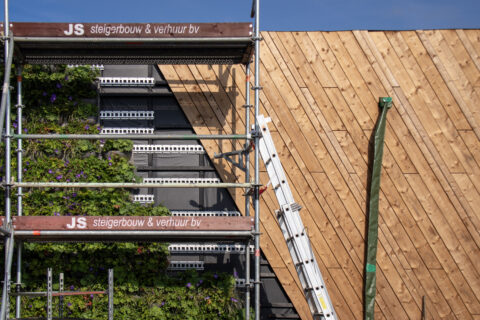 Innovatie Groene gevel versterkt concreet meetbaar biodiversiteit