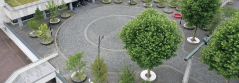 Innovatie Verplaatsbaar bos op dak en plein