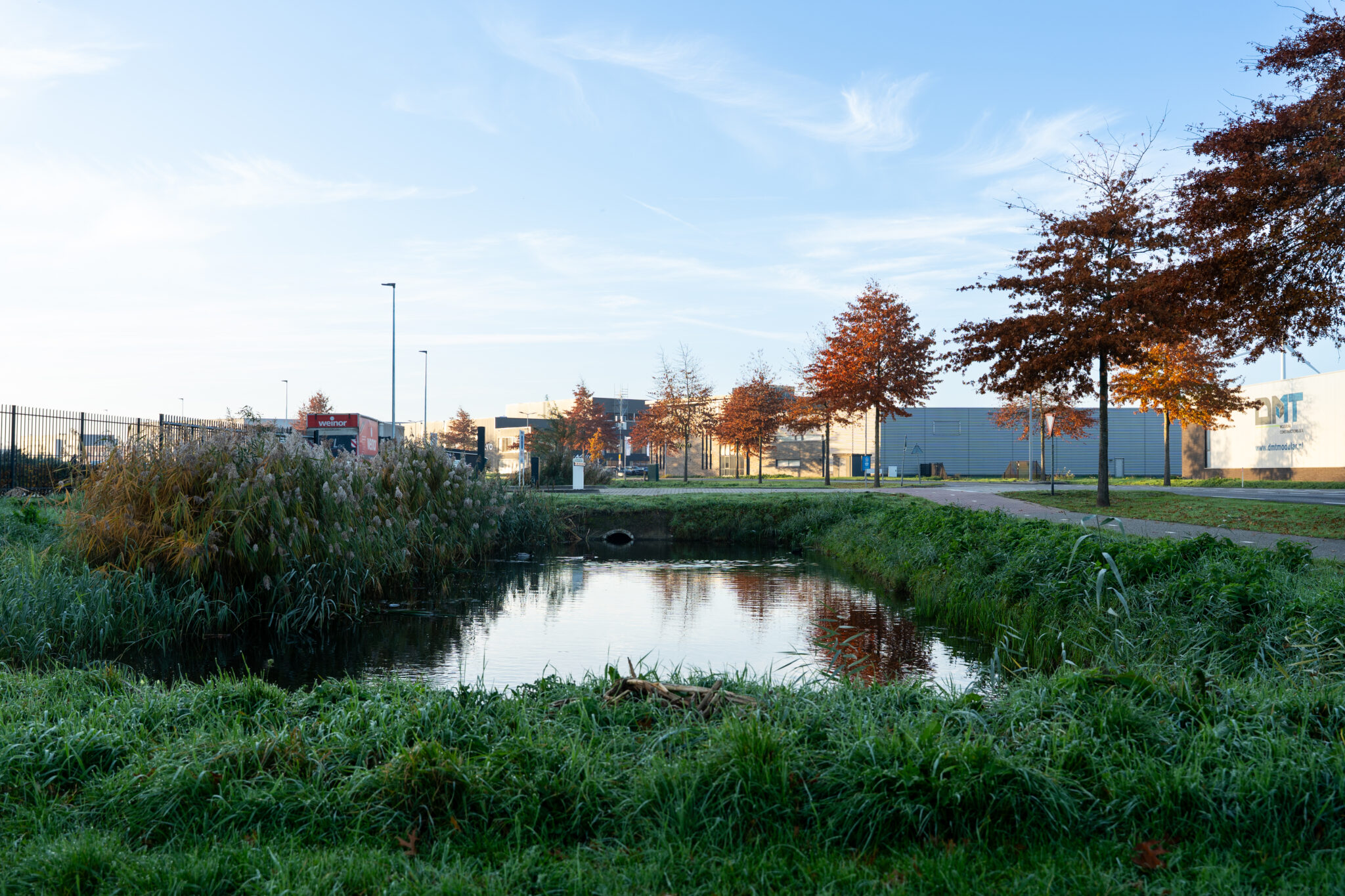 Water met gras eromheen op bedrijventerrein de Wildeman