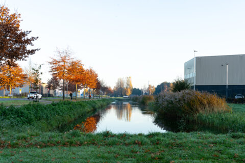 Water met groen er omheen op bedrijventerrein De Wildeman