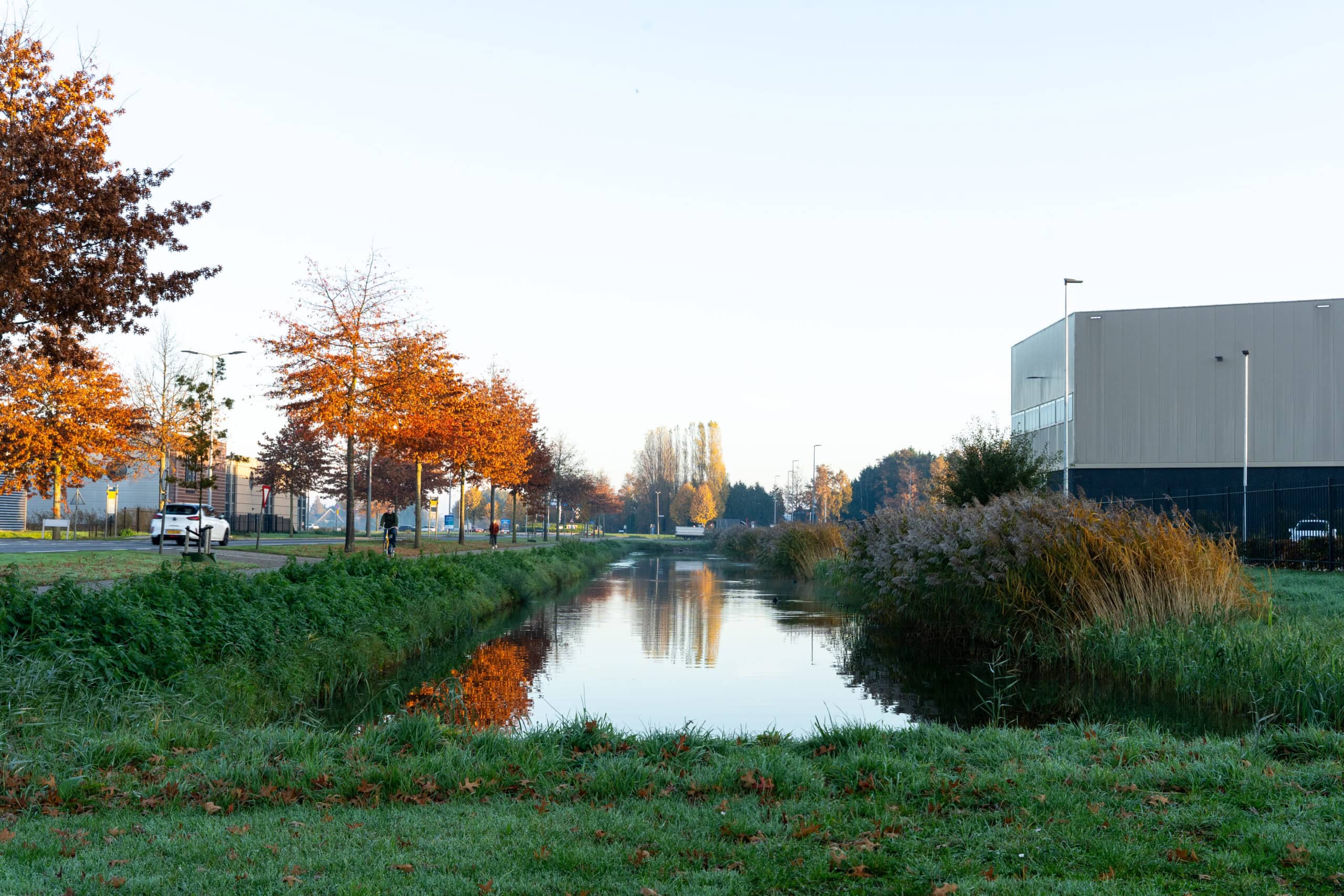 Water met groen er omheen op bedrijventerrein De Wildeman