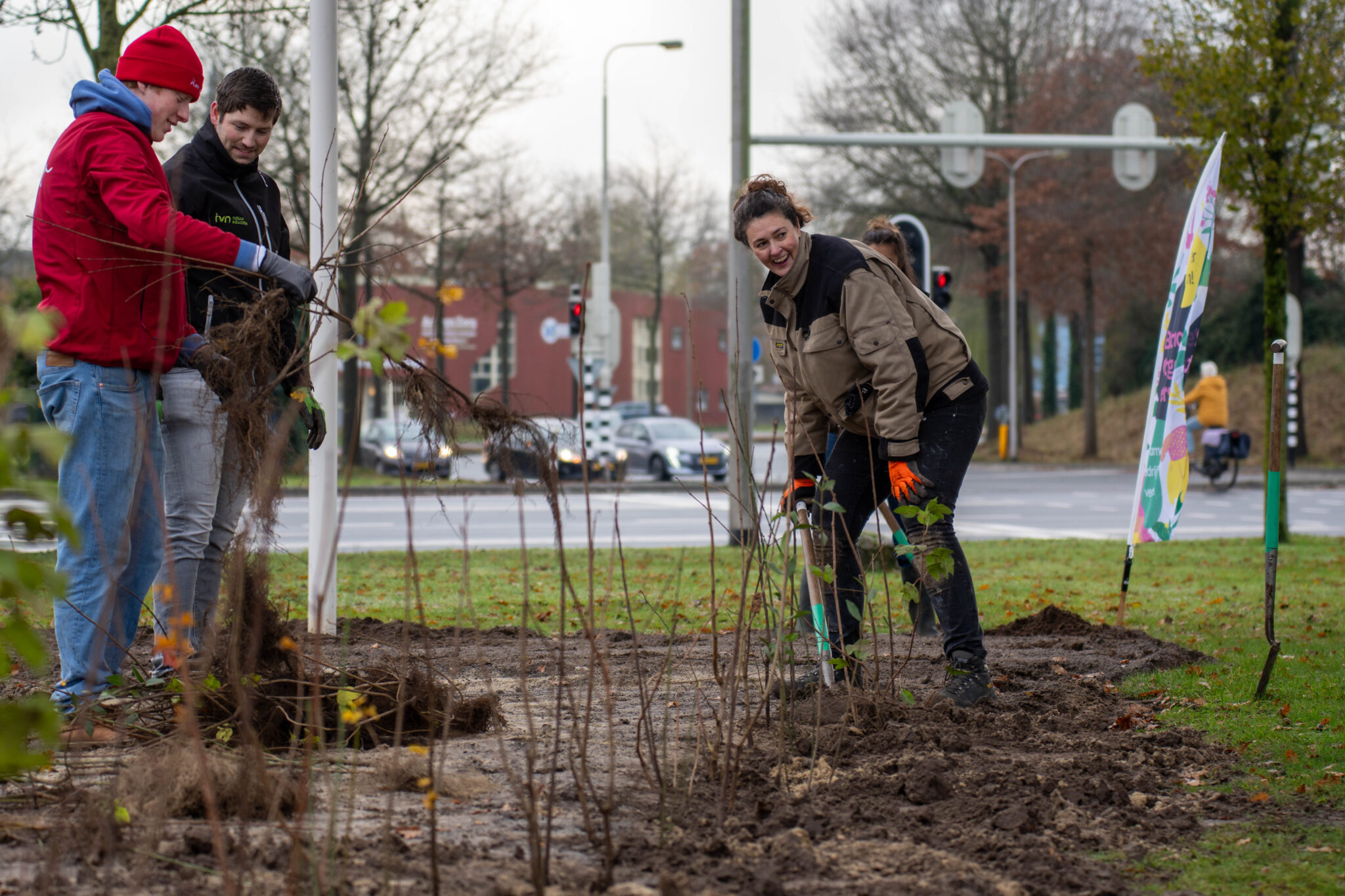 Inheemse aanplanting van duurzame werklandschappen op nieuwe groene werkplekken.